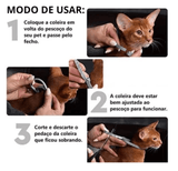 Nova Coleira Antipulga para o Meu Felino